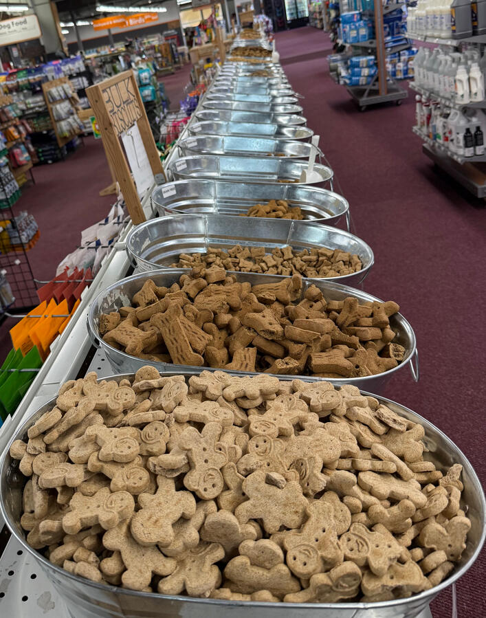 Bulk Biscuits Bulk Biscuits
